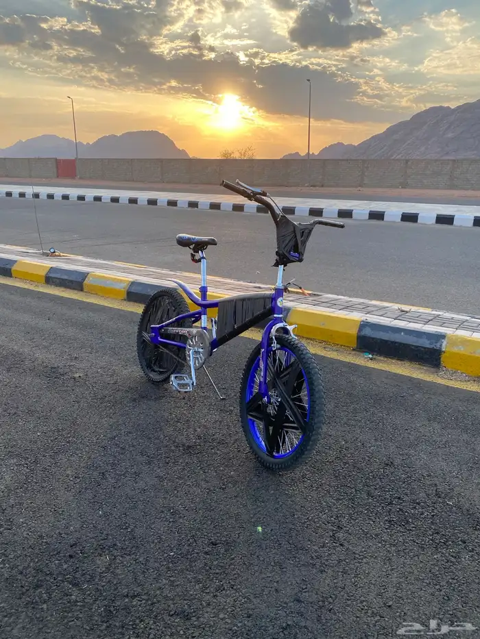 سيكل كوبرا ازرق 13