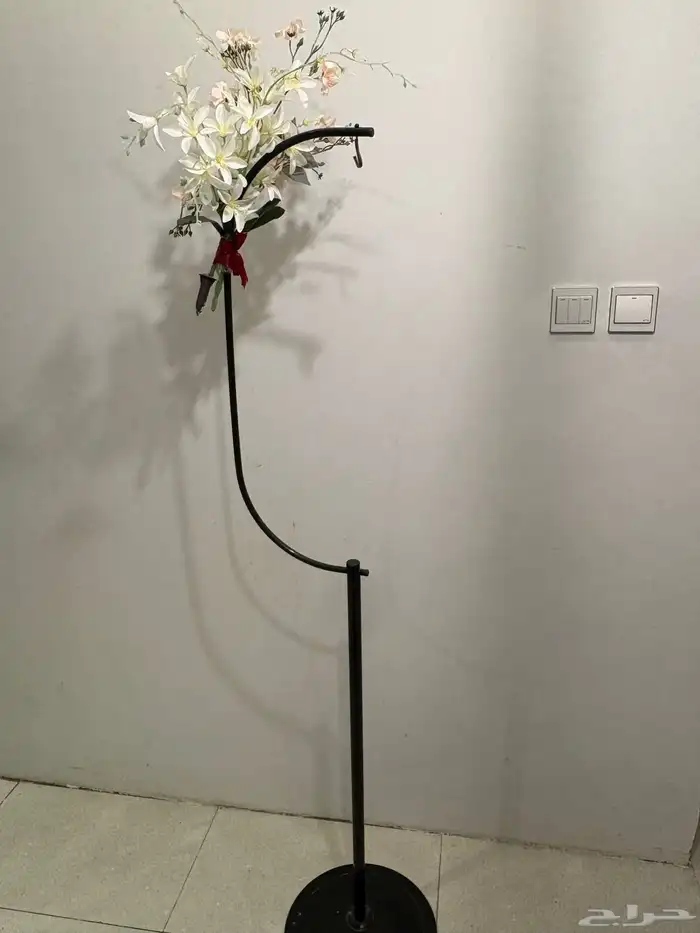 علاقة طيور وقفص 2