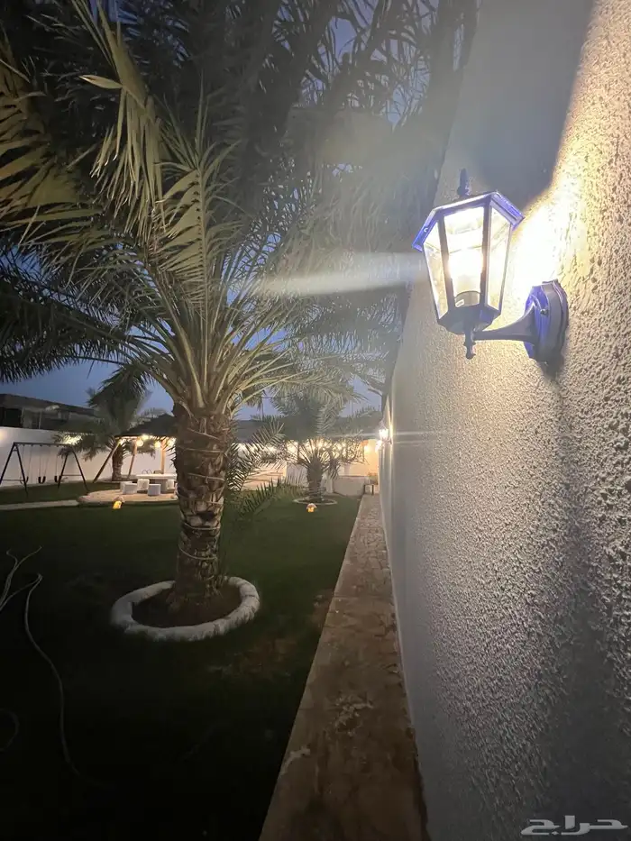شاليه للإجار السنوي 7