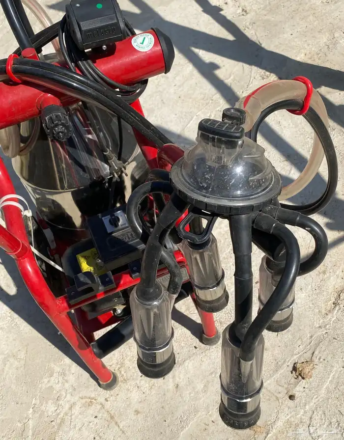 حلابه تركيه 2