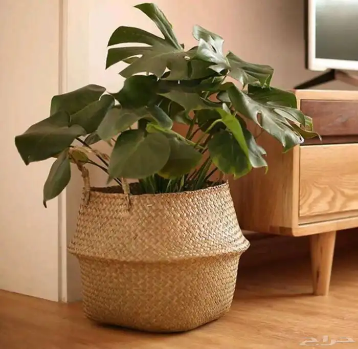 طقم سلال تنظيم وتوزيعات 0