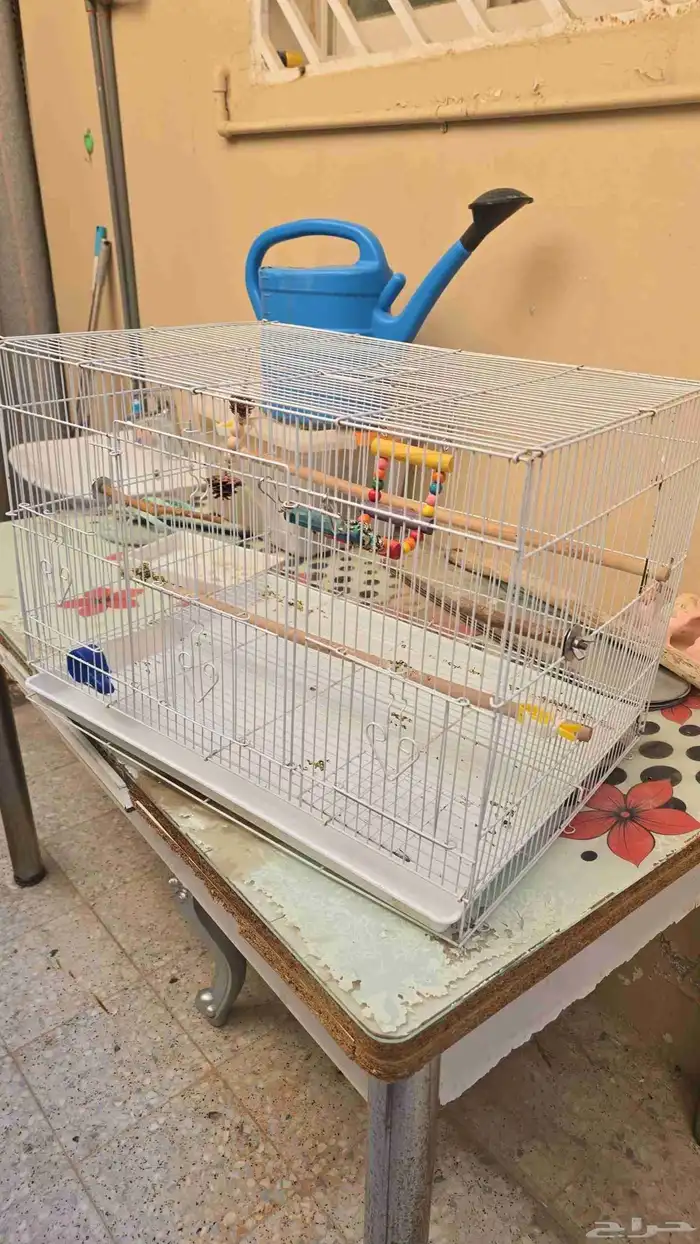 السلام عليكم قفص جديد 0