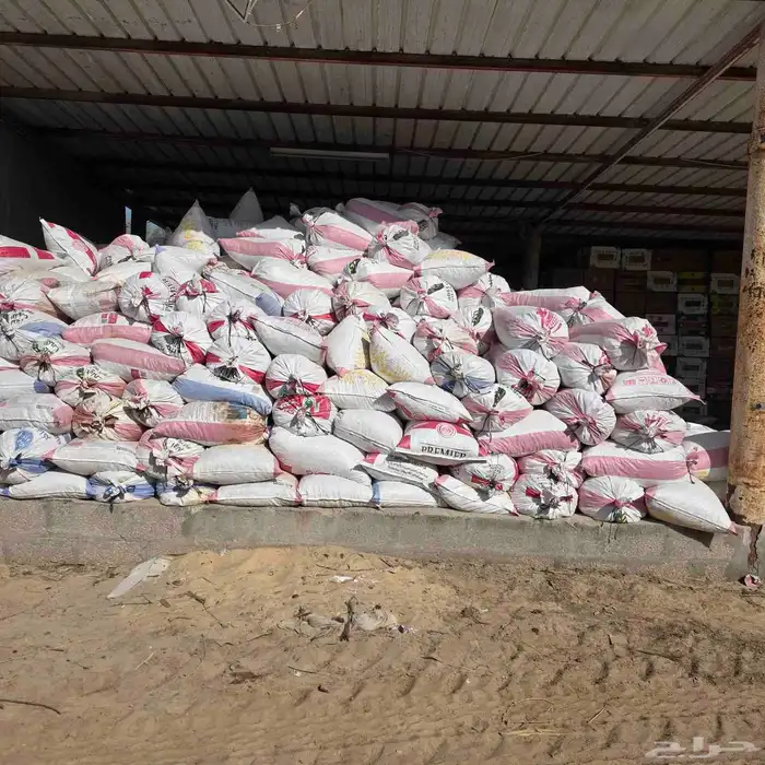 تمور اعلاف بمنطقة الجرن بالهفوف 0