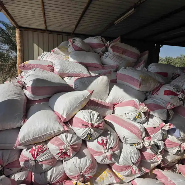 تمور اعلاف بمنطقة الجرن بالهفوف 3