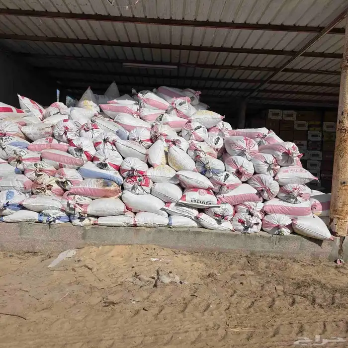 تمور اعلاف بمنطقة الجرن بالهفوف 4