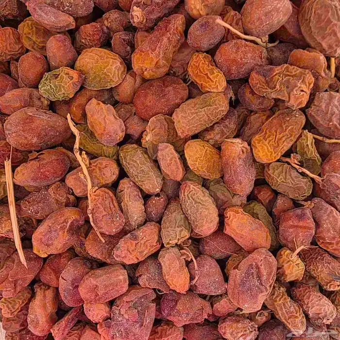 تمور اعلاف بمنطقة الجرن بالهفوف 1