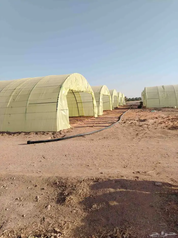 اجار بيوت محمية العداد عشرين بيت غير مكيفه 2