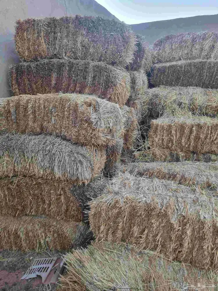 للبيع مخلوط متر صافي شد ممتاز جدا الموقع السراجيه الدوادمي 1