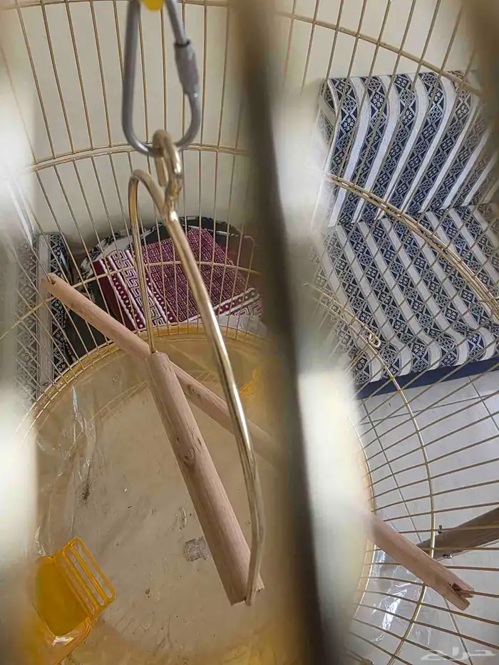 قفص طيور مع استاند 4