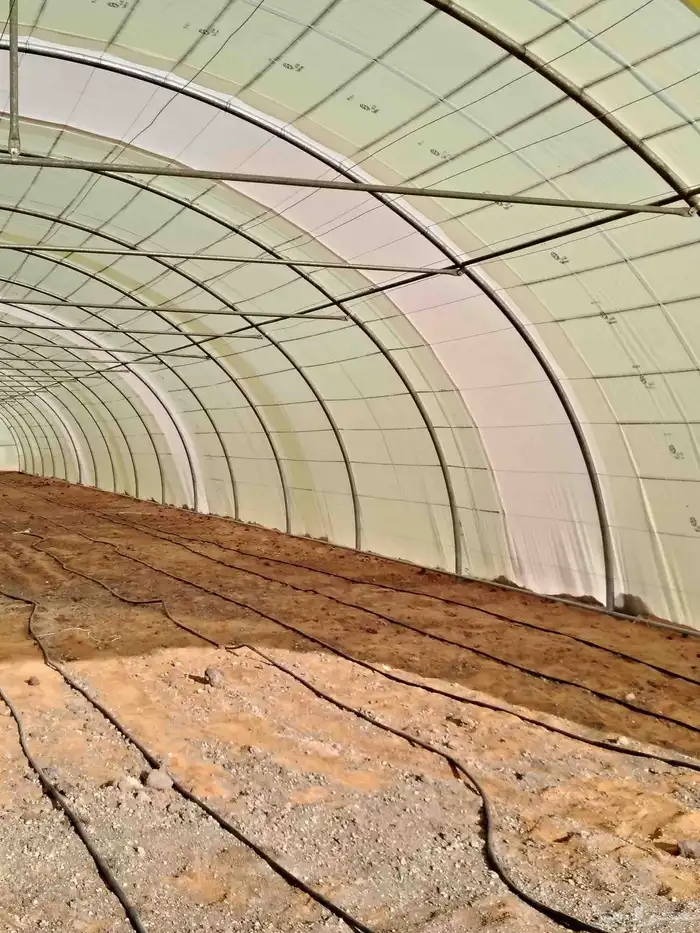 اجار بيوت محمية العداد عشرين بيت غير مكيفه 4