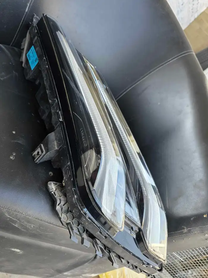 لييد فوق لينك اند كو 03 2025 2026 2