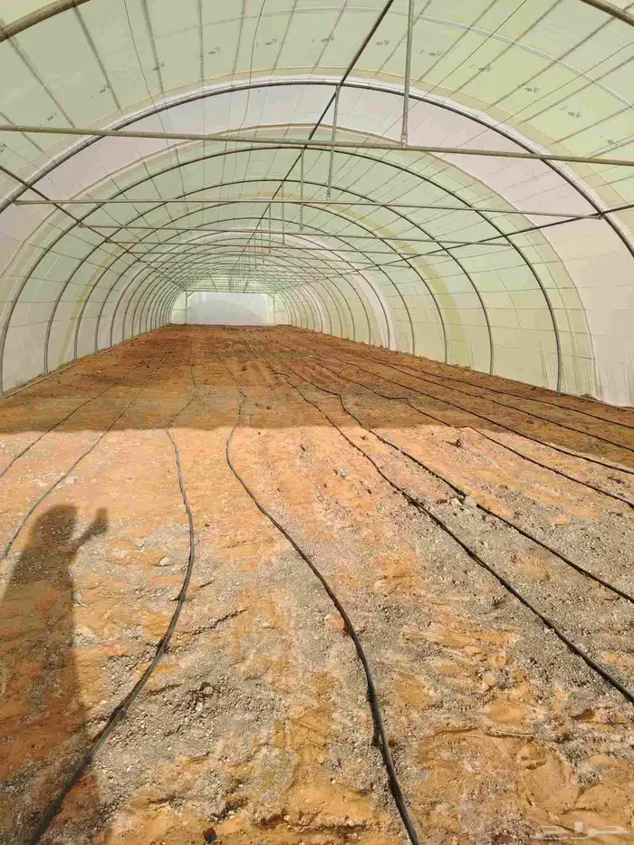 اجار بيوت محمية العداد عشرين بيت غير مكيفه 5