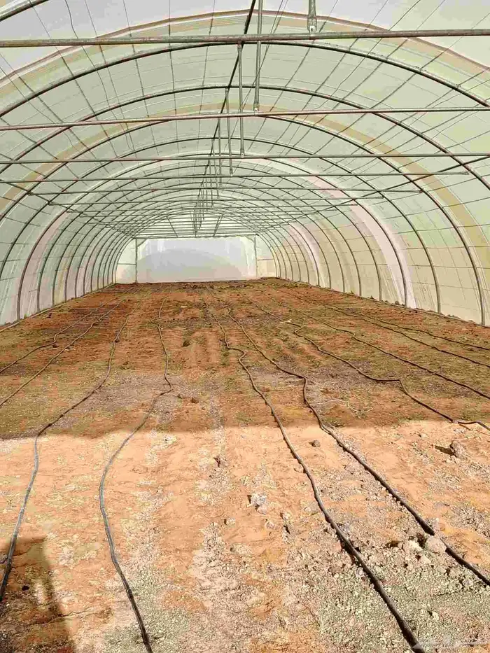 اجار بيوت محمية العداد عشرين بيت غير مكيفه 6