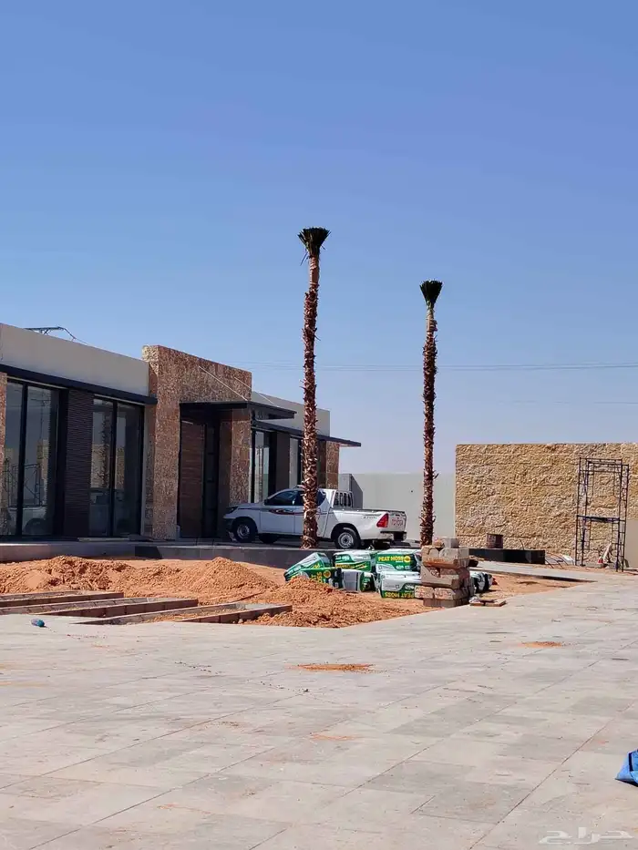 توريد وغرس النخل العربي ولوشنطني الأمريكي الزينه 1