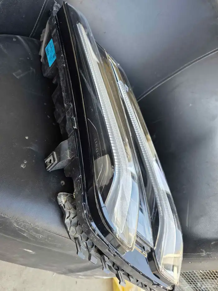 لييد فوق لينك اند كو 03 2025 2026 1