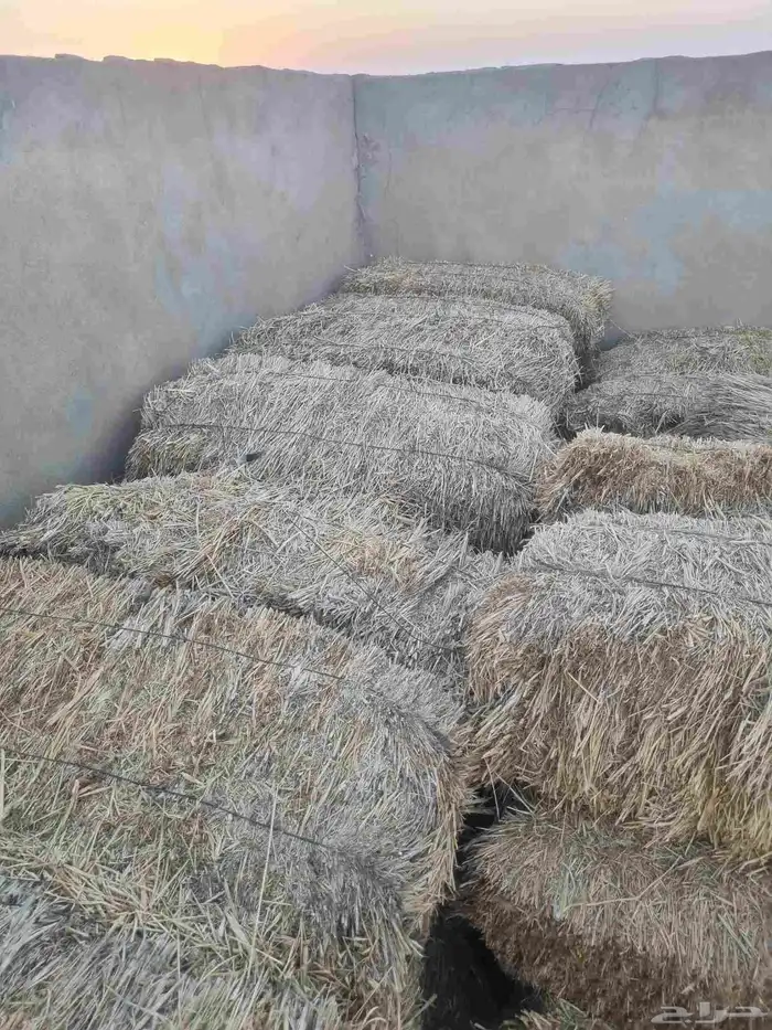 للبيع مخلوط متر صافي شد ممتاز جدا الموقع السراجيه الدوادمي 2