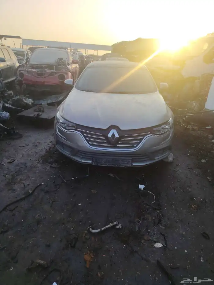 رينو تليسمان وفيات ديكاتو وبيجو 301 وفلنوس وميغان وسنبل ودوك 1