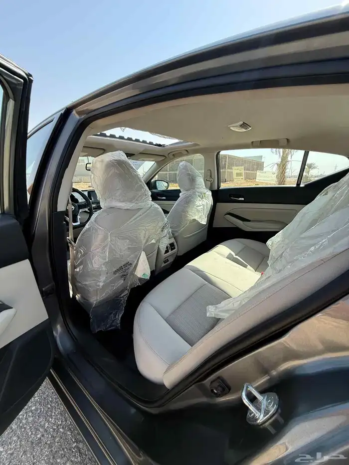 التيما2022 8