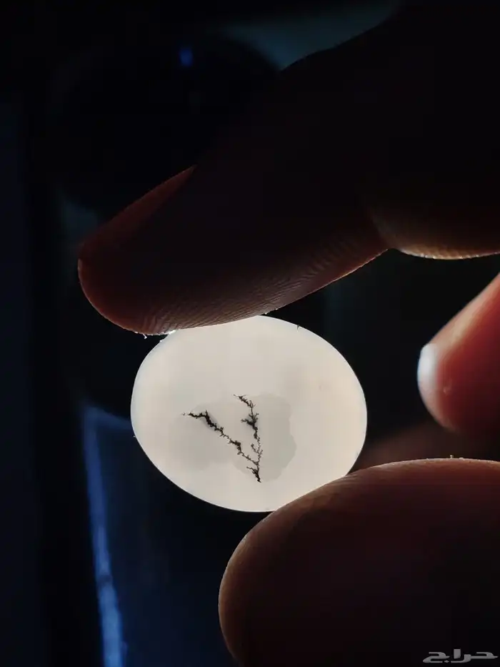 حجر عقيق يماني مشجر 1