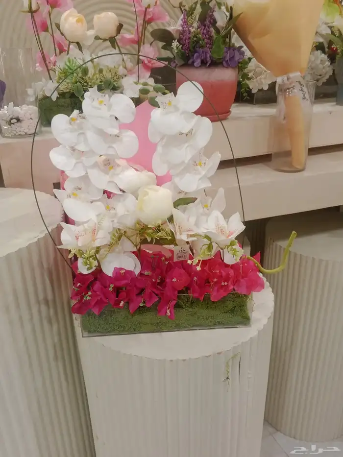 منسق ورد متواجد في بيشه 3