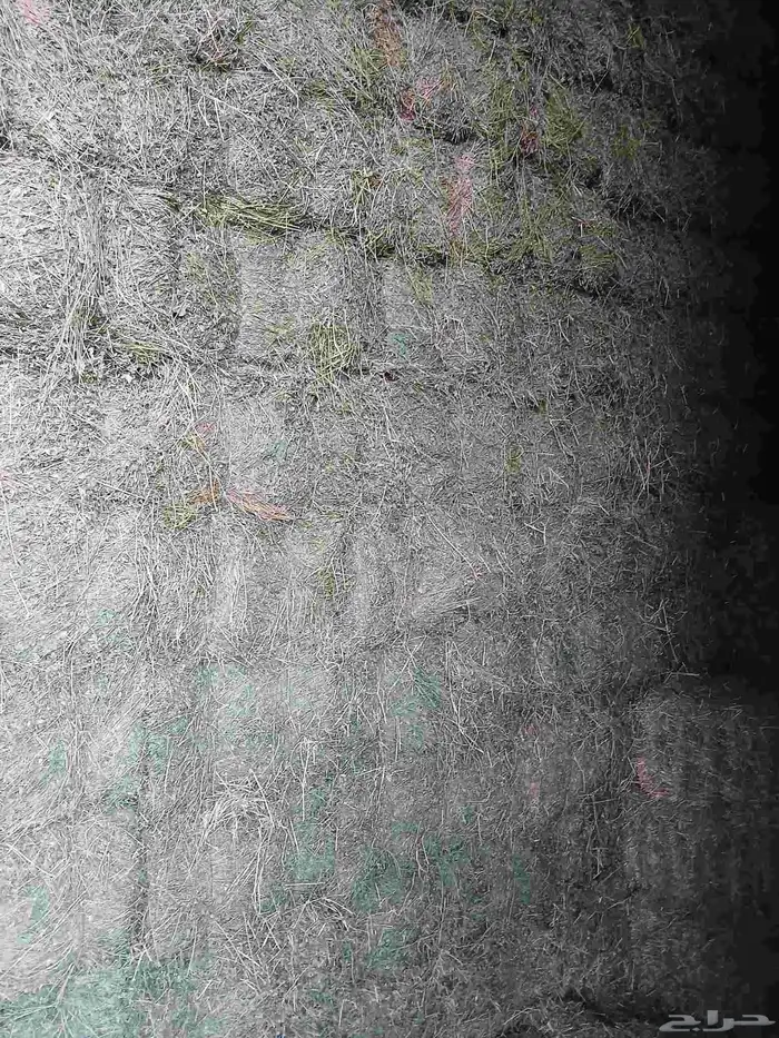 بىسيم صافي شد 80 للى 85 وزن 24 5