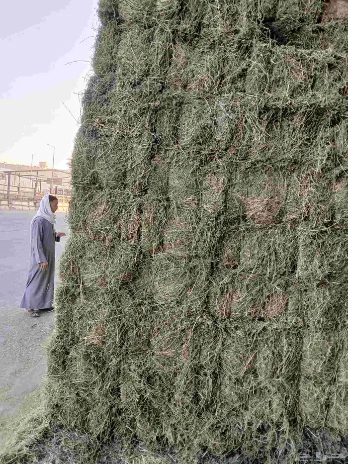 بىسيم صافي شد 80 للى 85 وزن 24 3