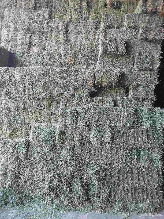 بىسيم صافي شد 80 للى 85 وزن 24 4