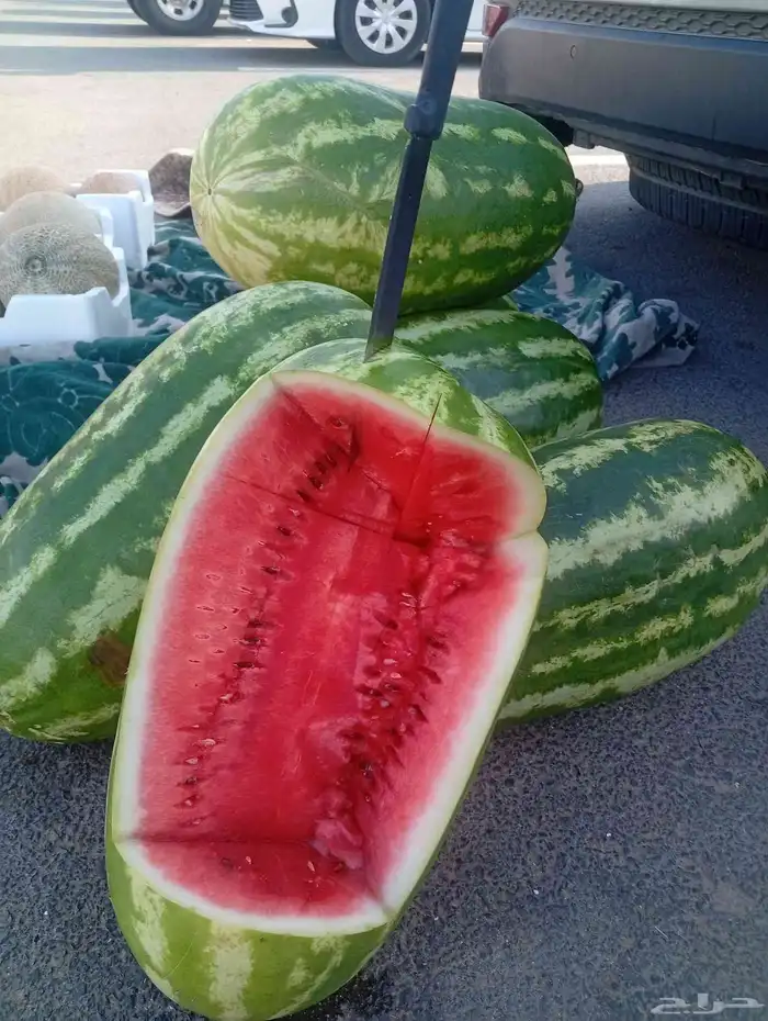 جح وشمام طيب 0