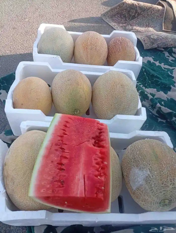 جح وشمام طيب 2