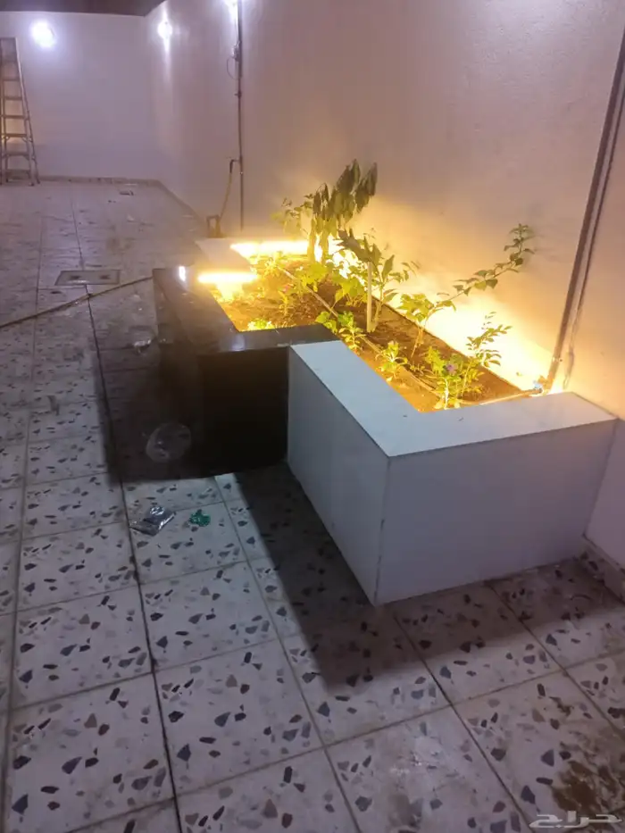 تنسيق حدائق جازان 6