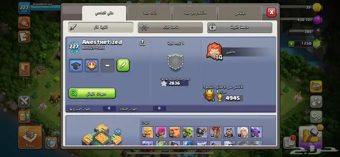 كلاش اوف كلانس تاون 14ماكس 1