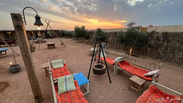 مخيمات دقلة شمال الرياض 13