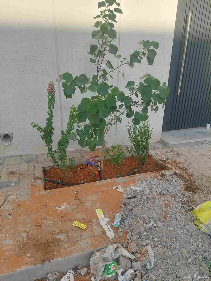 مشتل لتنسيق الحدائق 3