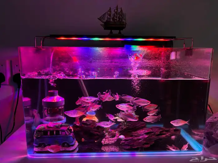 حوض سمك بكل المعدات و سمك 0