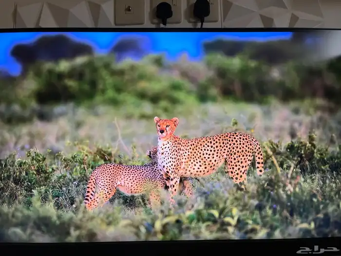 شاشة العاب قوية للبي سي و السوني 2