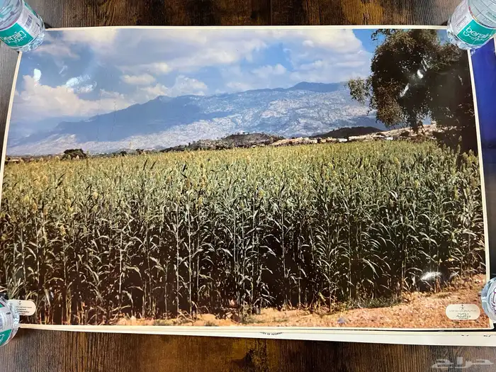 بوسترات سعودية قديمة وزارة الاعلام 5