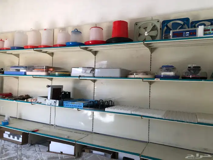 فقاسات وادوات دواجن اقساط وكاش 4