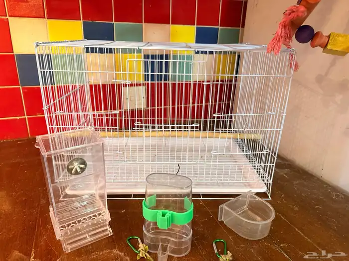 قفص طيور كنيور والعاب ببغاء 4