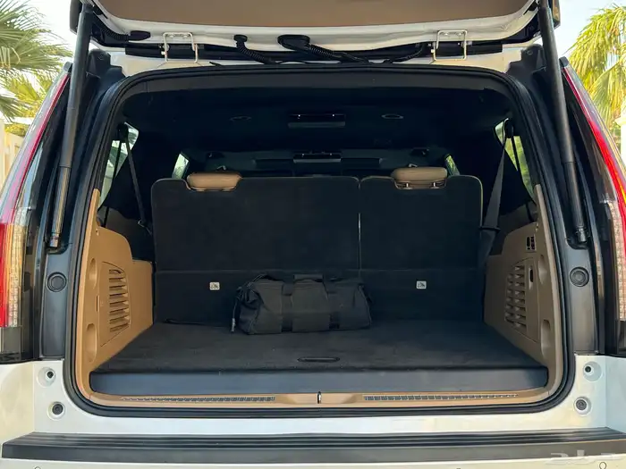 كاديلاك اسكاليد طويل موديل 2019 بلاتينيوم تشيكات وكاله 66