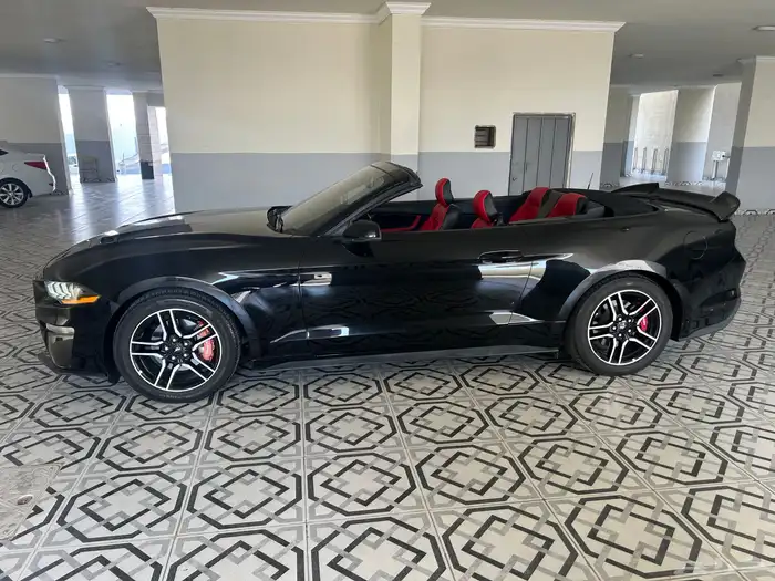 فورد موستنج 2018 - V4 eco post 12