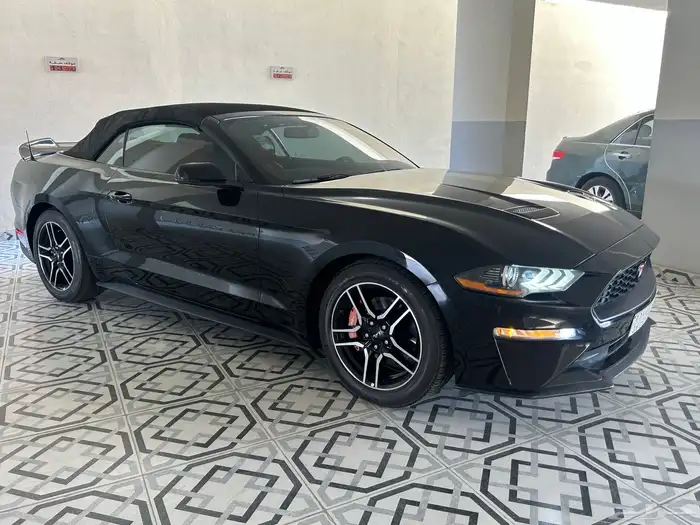 فورد موستنج 2018 - V4 eco post 19