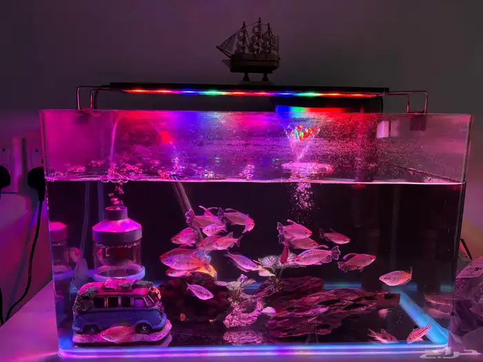 حوض سمك بكل المعدات و سمك 1