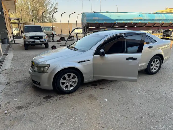 8 سرندل ماشيه 266 قابل لزيادة 0