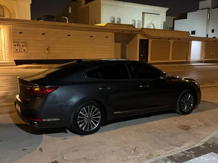 كادينزا 2017 9