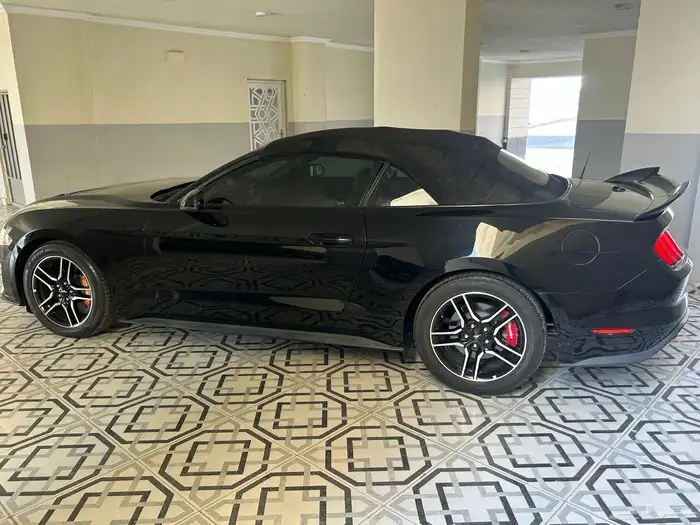 فورد موستنج 2018 - V4 eco post 20