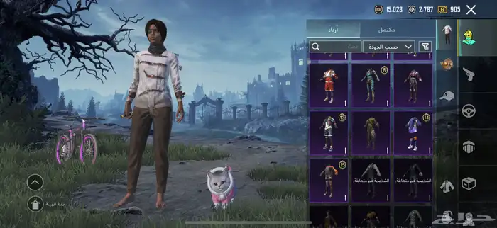 حساب ببجي 12