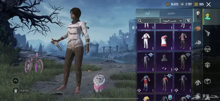 حساب ببجي 10