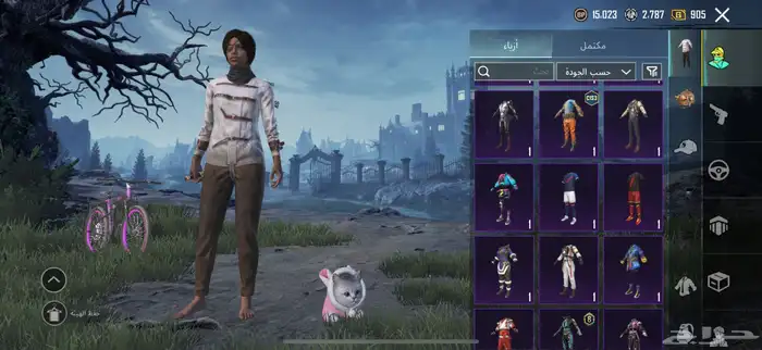 حساب ببجي 13