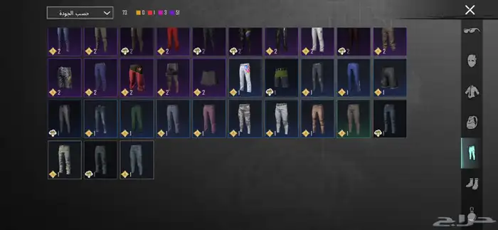 حساب ببجي 20