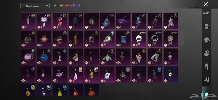 حساب ببجي 22